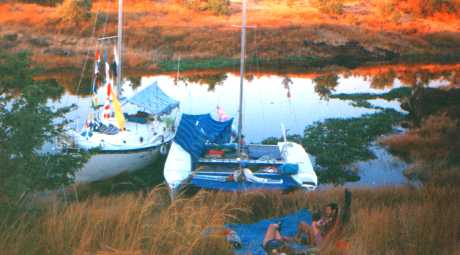 Strider moored in the bush